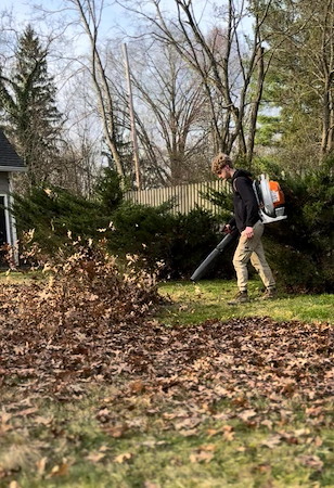 Leaf Removal